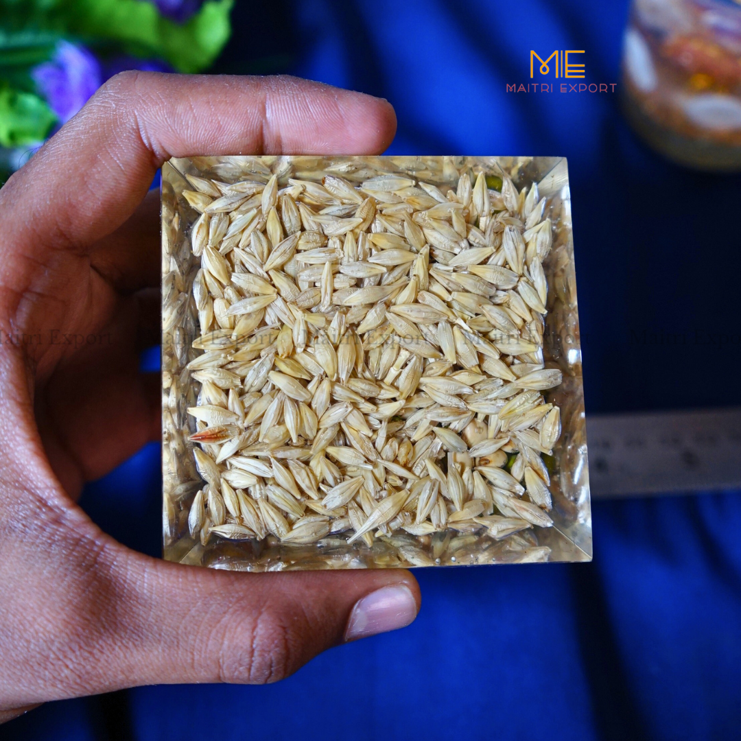 Annapurna Orgone Pyramid-Maitri Export | Crystals Store