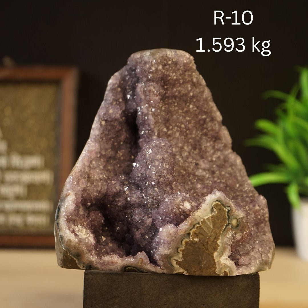 Amethyst Geode ( Regular )-10 - 1.593 kg-Maitri Export | Crystals Store