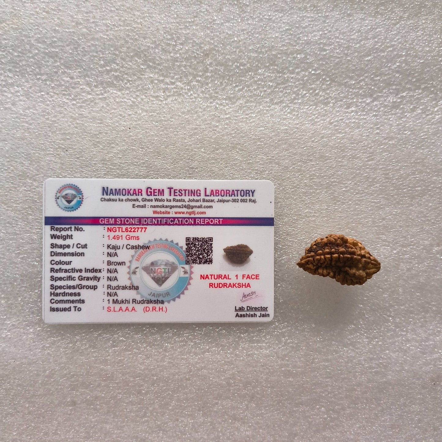 Loose rudraksh with hole on both side-1 mukhi-Maitri Export | Crystals Store