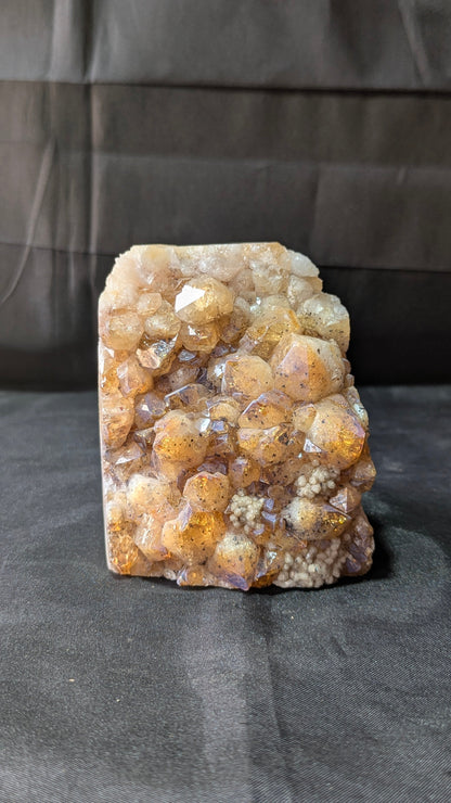 Citrine Geode Cluster from Brazil-26 - 1429gm-Maitri Export | Crystals Store