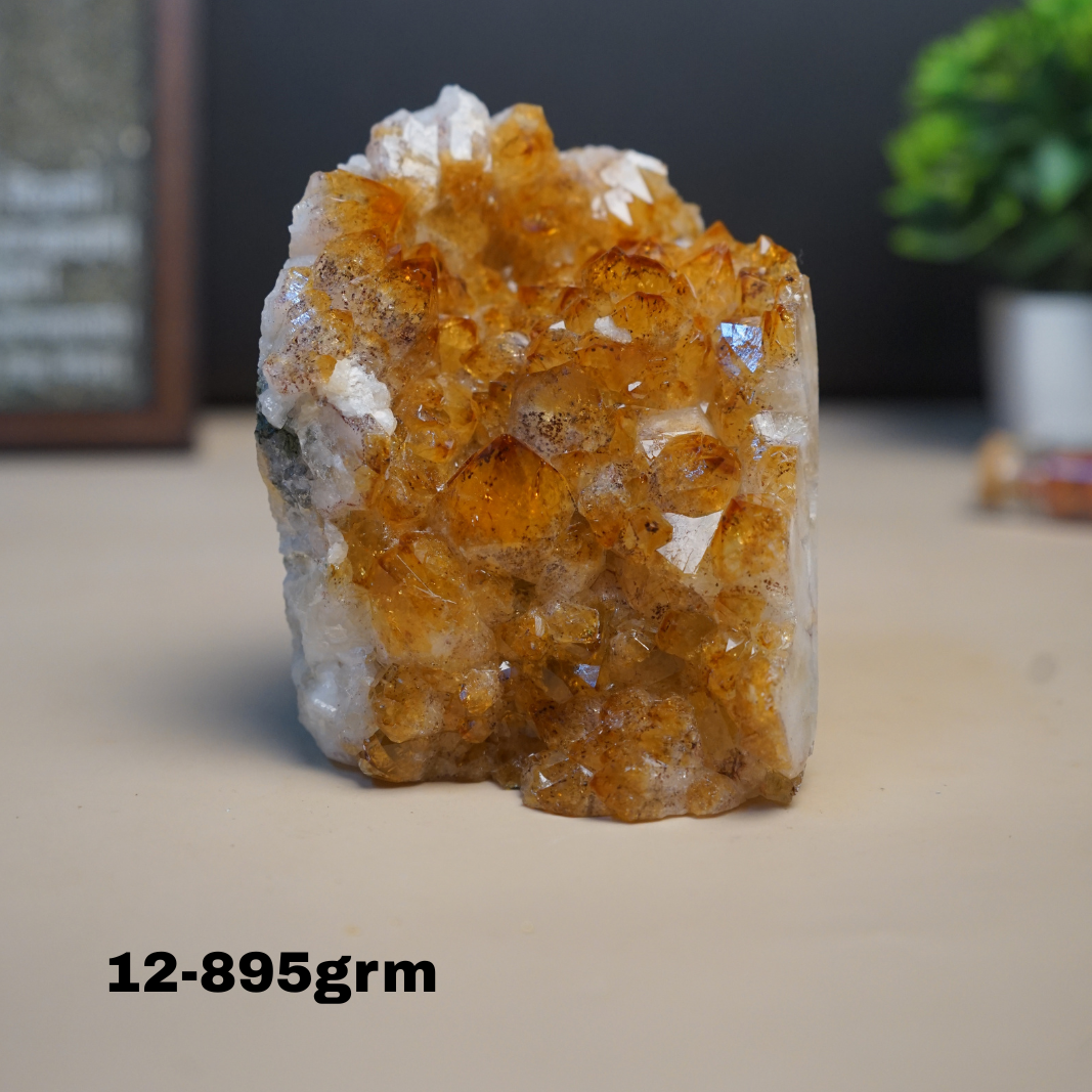 Citrine Geode Cluster from Brazil-12 - 895gm-Maitri Export | Crystals Store