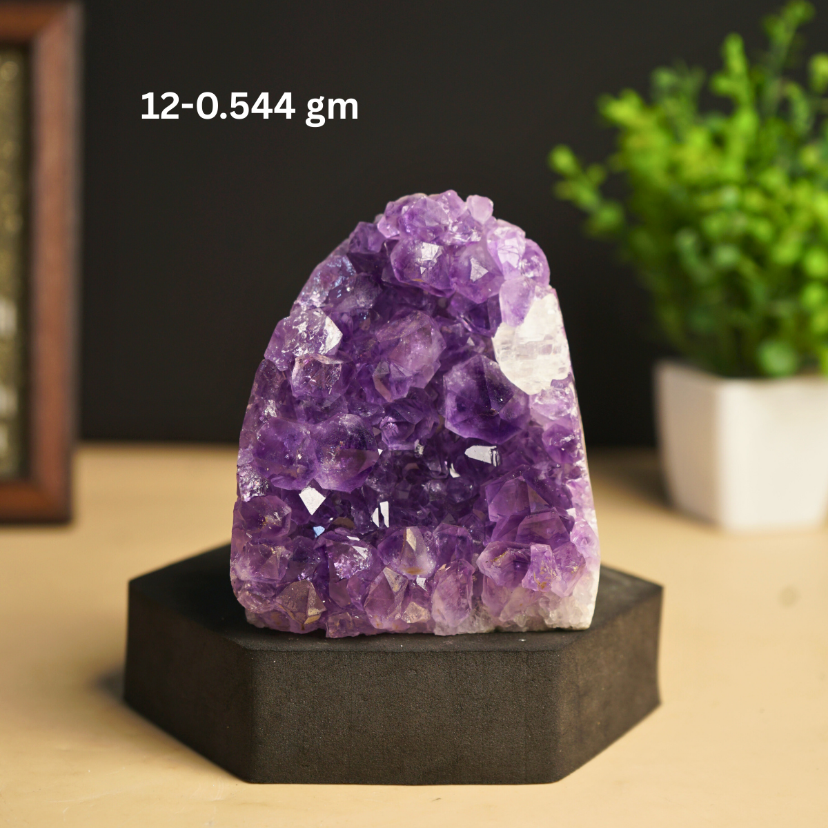 Amethyst mini / small geode-12 - 544gm-Maitri Export | Crystals Store