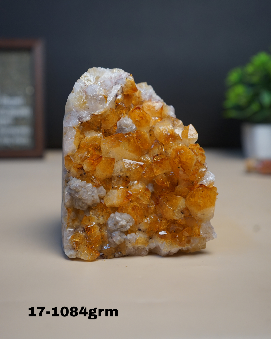 Citrine Geode Cluster from Brazil-17-1084gm-Maitri Export | Crystals Store