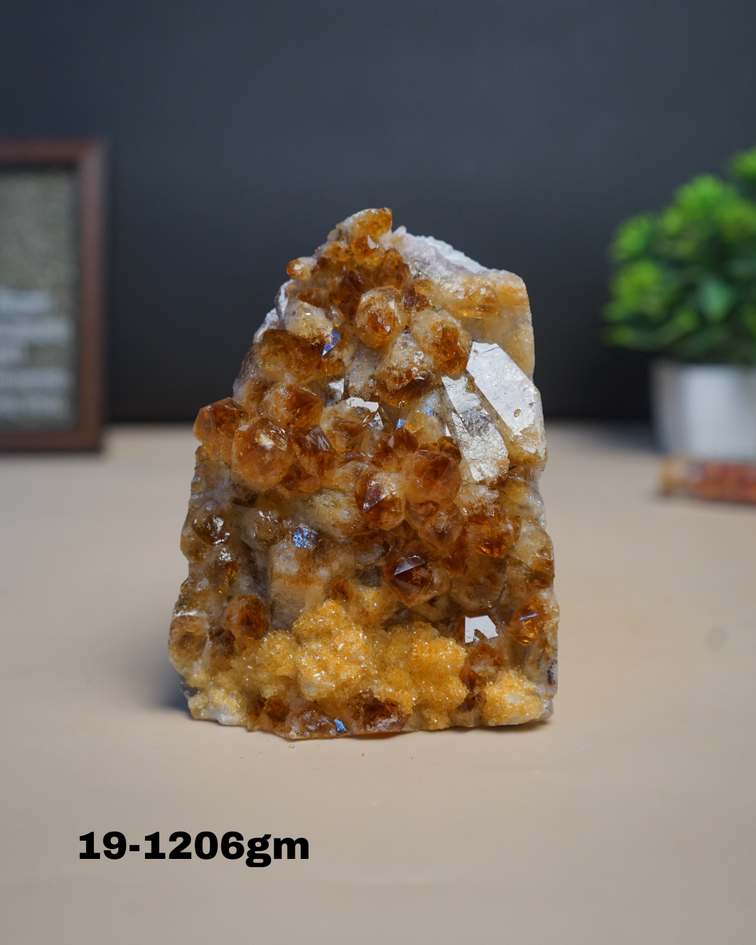 Citrine Geode Cluster from Brazil-19 - 1206gm-Maitri Export | Crystals Store