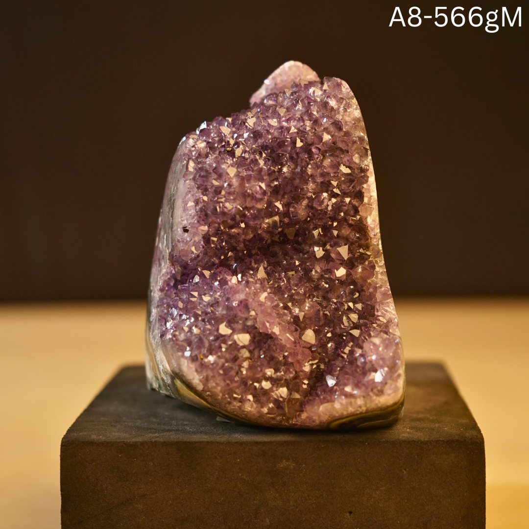Amethyst Geode-8 - 566 gm-Maitri Export | Crystals Store