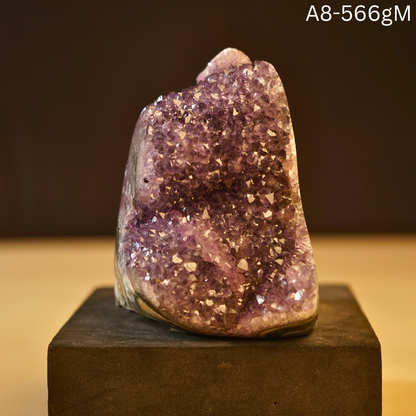 Amethyst Geode-8 - 566 gm-Maitri Export | Crystals Store