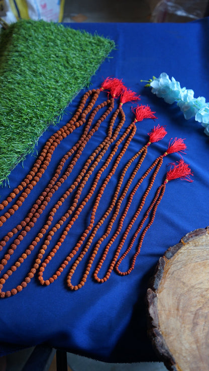Rudraksh mala 109 beads-Maitri Export | Crystals Store