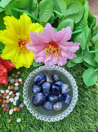Sodalite Natural Crystal Healing Stone Tumble / Pocket Stone-Maitri Export | Crystals Store