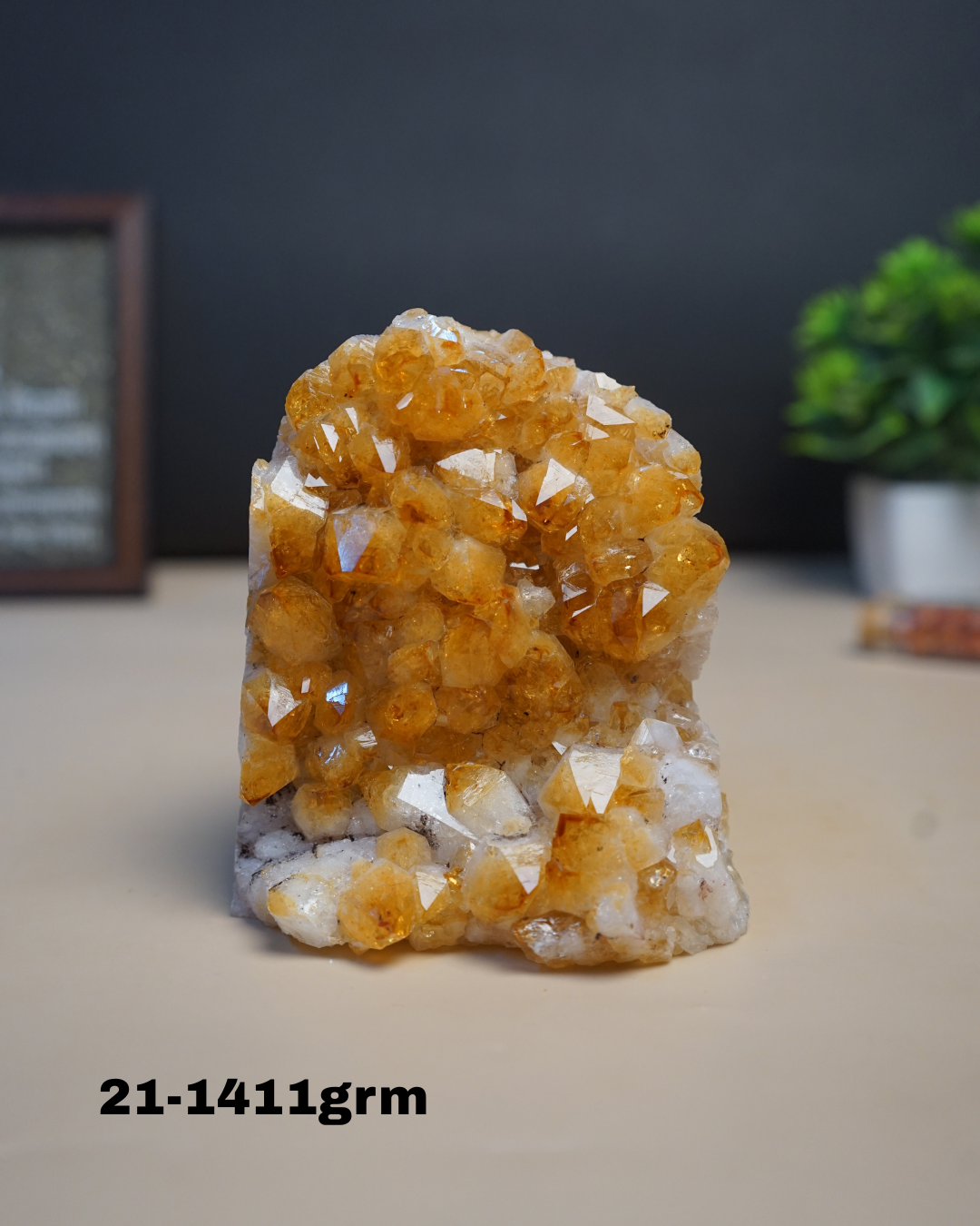 Citrine Geode Cluster from Brazil-21 - 1411gm-Maitri Export | Crystals Store