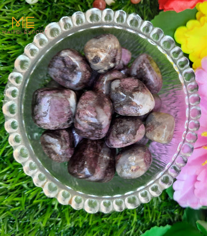 Ruby Fuchsite Natural Crystal Healing Stone Tumble / Pocket Stone-Maitri Export | Crystals Store