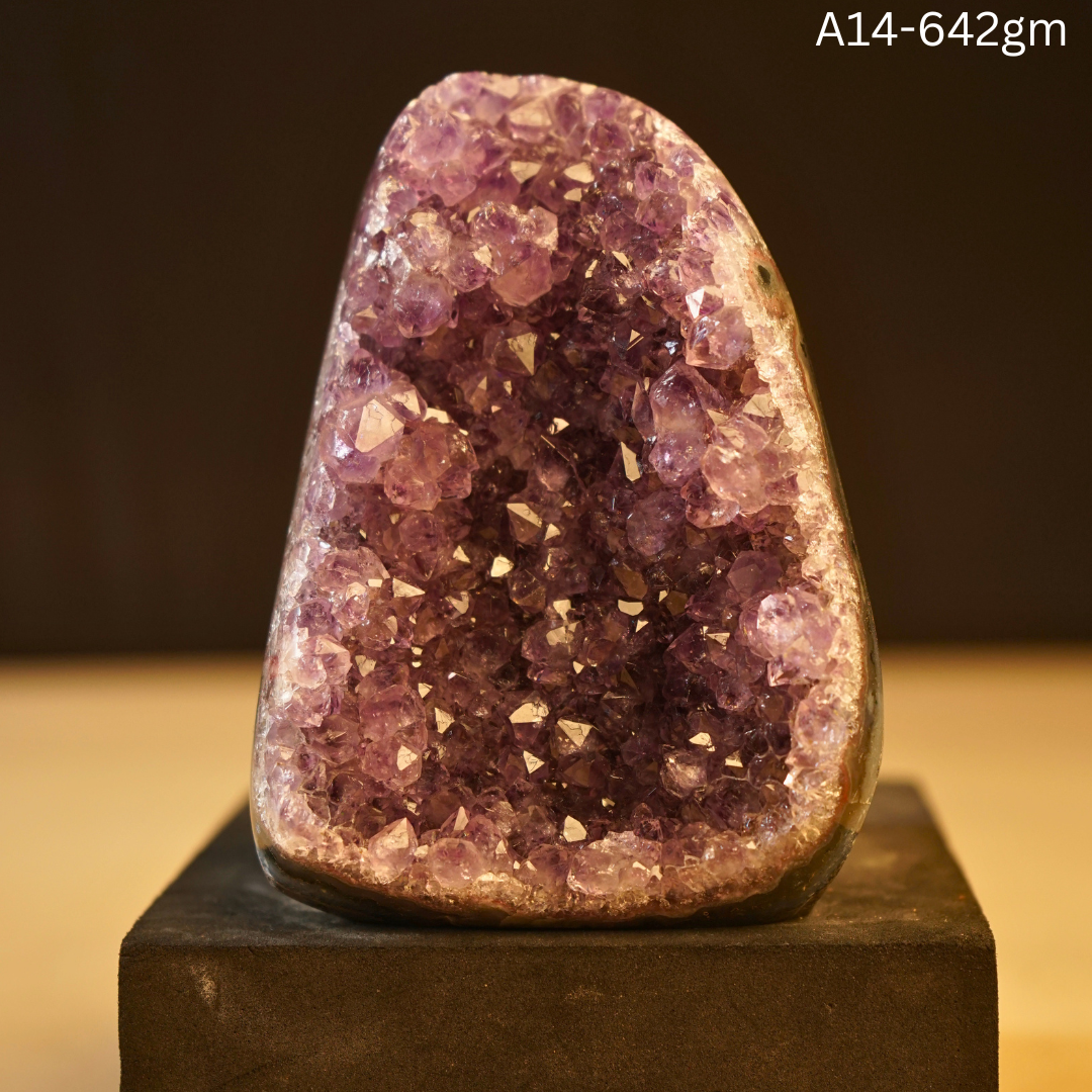 Amethyst Geode-14 - 642 gm-Maitri Export | Crystals Store