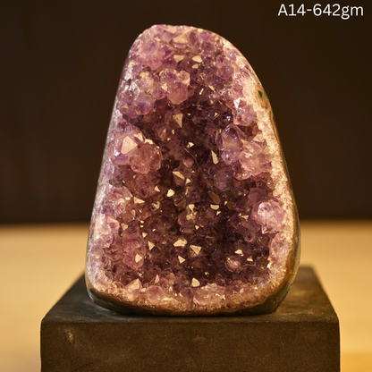 Amethyst Geode-14 - 642 gm-Maitri Export | Crystals Store