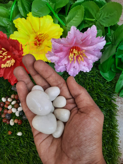 White Agate Natural Crystal Healing Stone Tumble / Pocket Stone-Maitri Export | Crystals Store