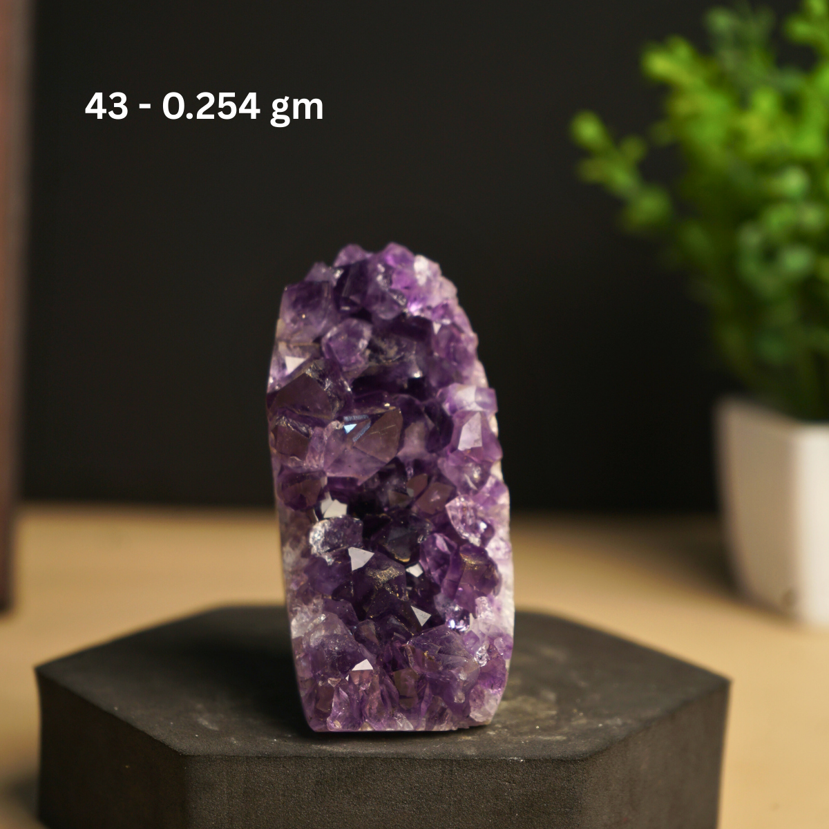 Amethyst mini / small geode-43 - 254gm-Maitri Export | Crystals Store