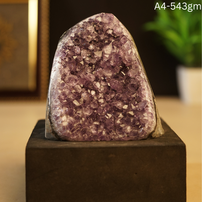 Amethyst Geode-4 - 543 gm-Maitri Export | Crystals Store