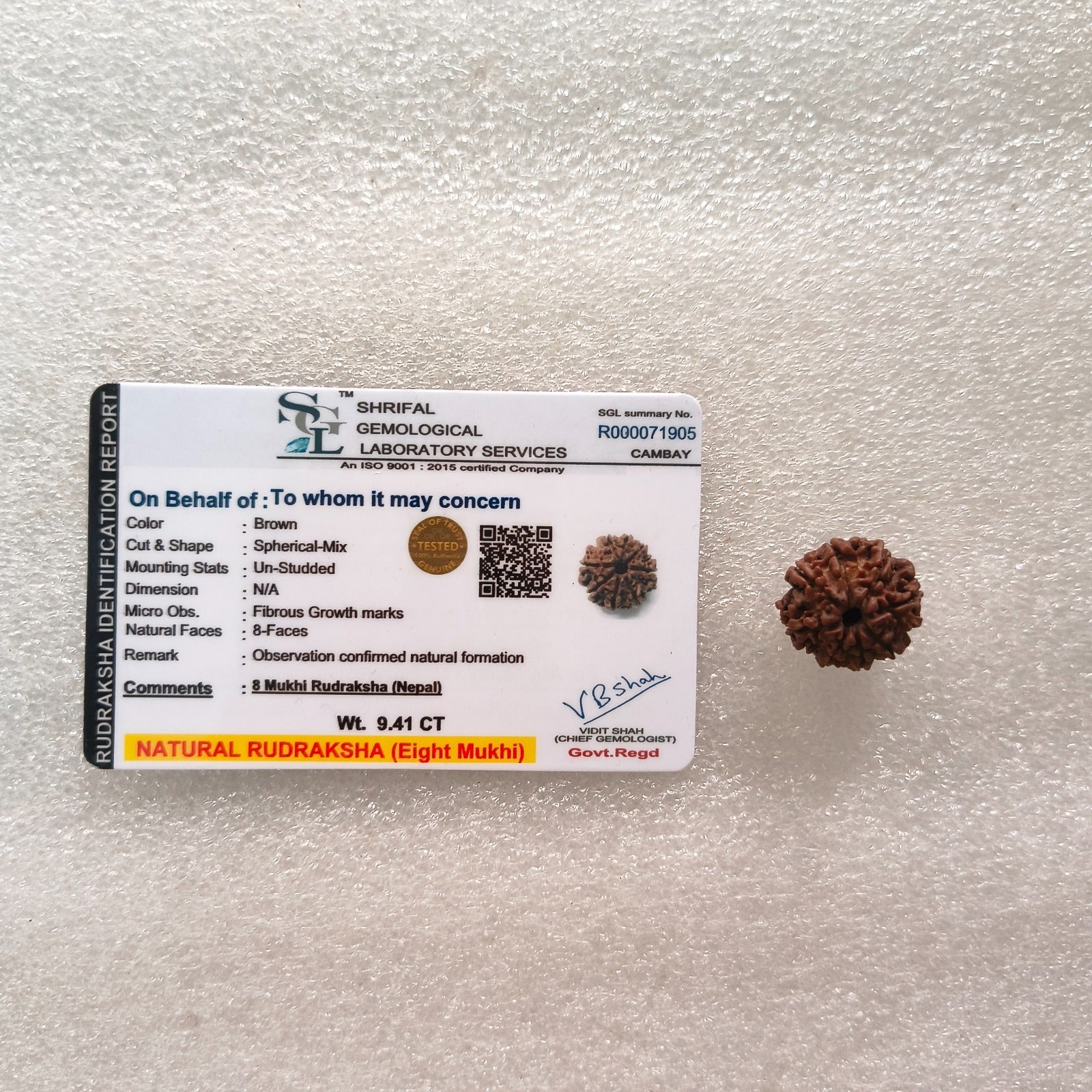 Loose rudraksh with hole on both side-8 mukhi-Maitri Export | Crystals Store