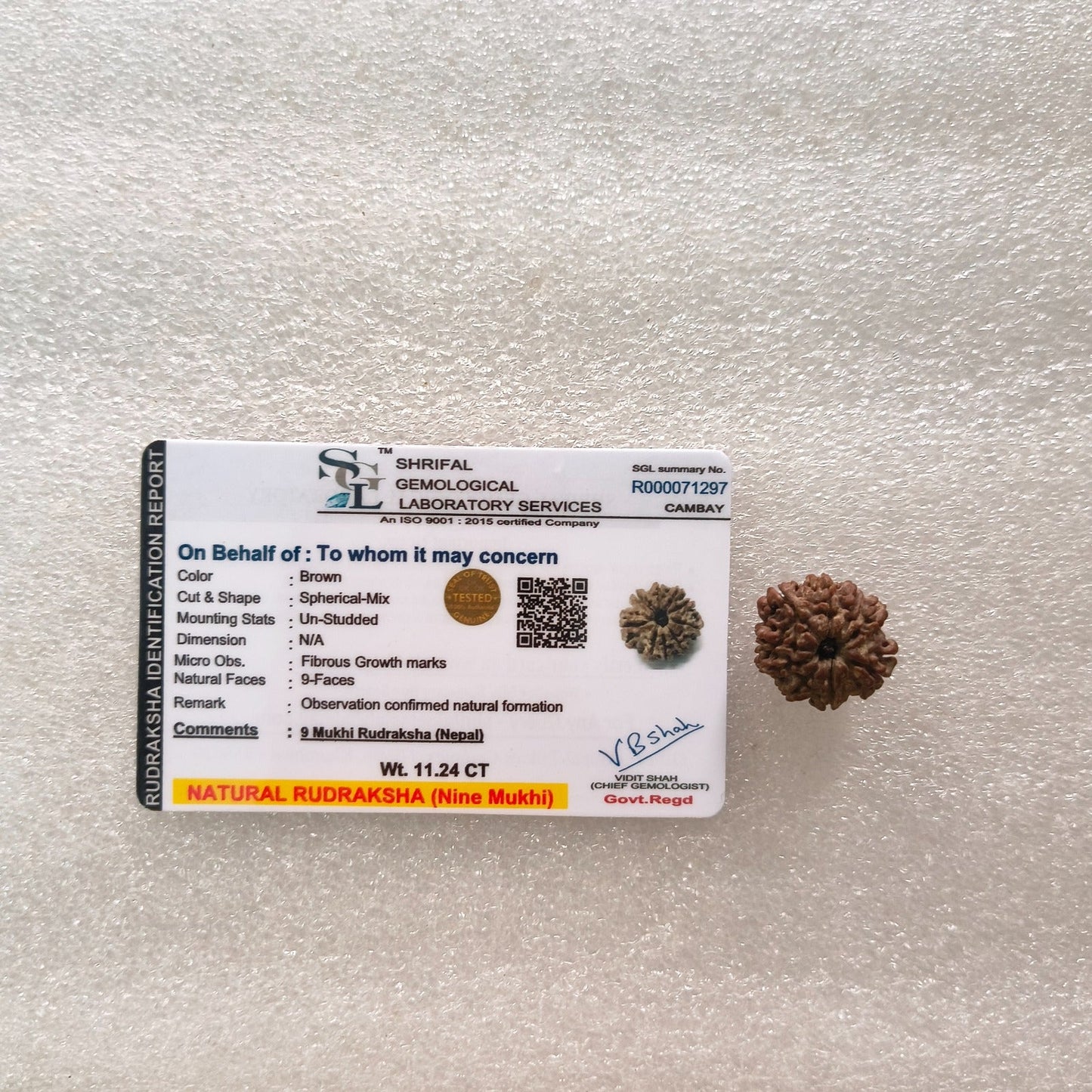 Loose rudraksh with hole on both side-9 mukhi-Maitri Export | Crystals Store
