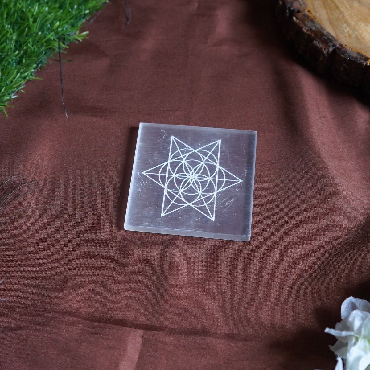 Natural selenite plate with different carvings 2 inch-Square-Star Flower of life-Maitri Export | Crystals Store