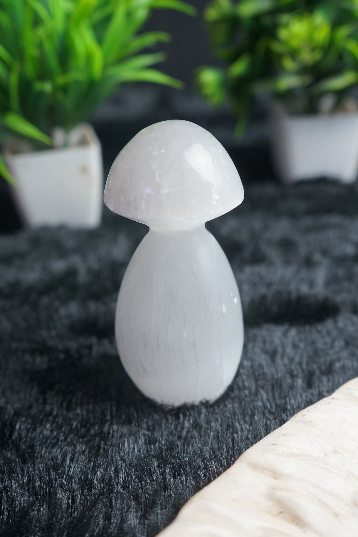 Selenite Morocco Mushroom-4 inch-Maitri Export | Crystals Store