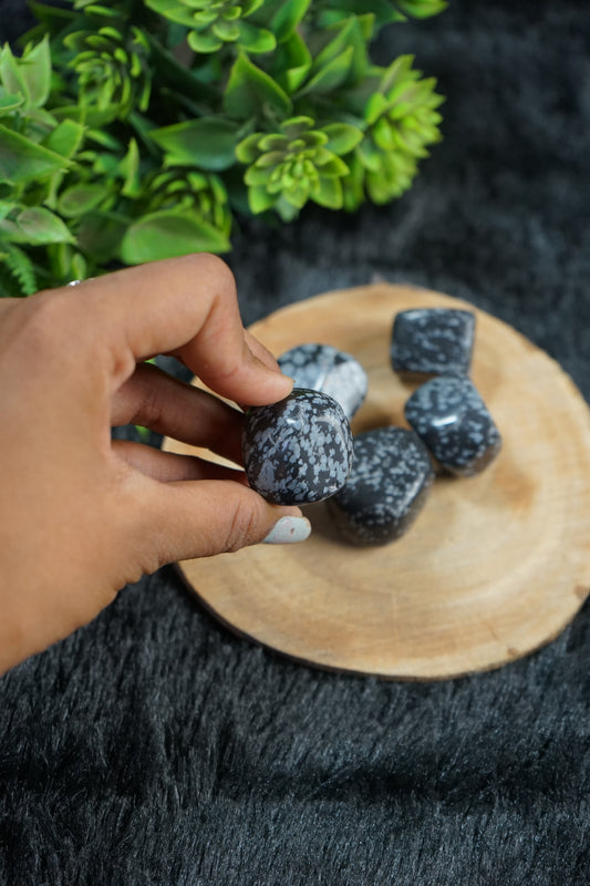 Snowflake Obsidian Natural Crystal Healing Stone Tumble / Pocket Stone-1 pc-Maitri Export | Crystals Store