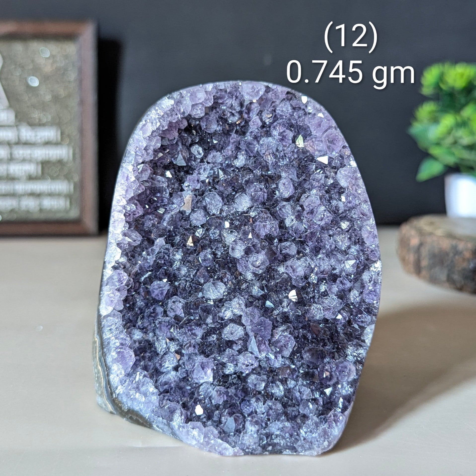 Amethyst geode-12 - 745 gm-Maitri Export | Crystals Store