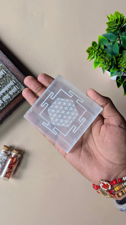 Natural selenite plate with different carvings-Square-Shreeyantra with Flower of Life-Maitri Export | Crystals Store