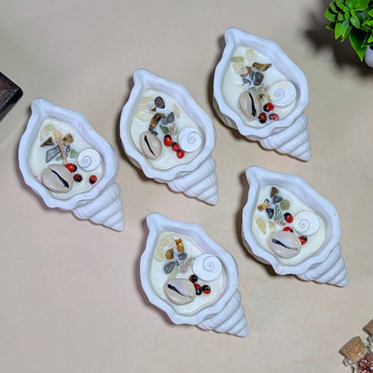 Shell Candle-Maitri Export | Crystals Store