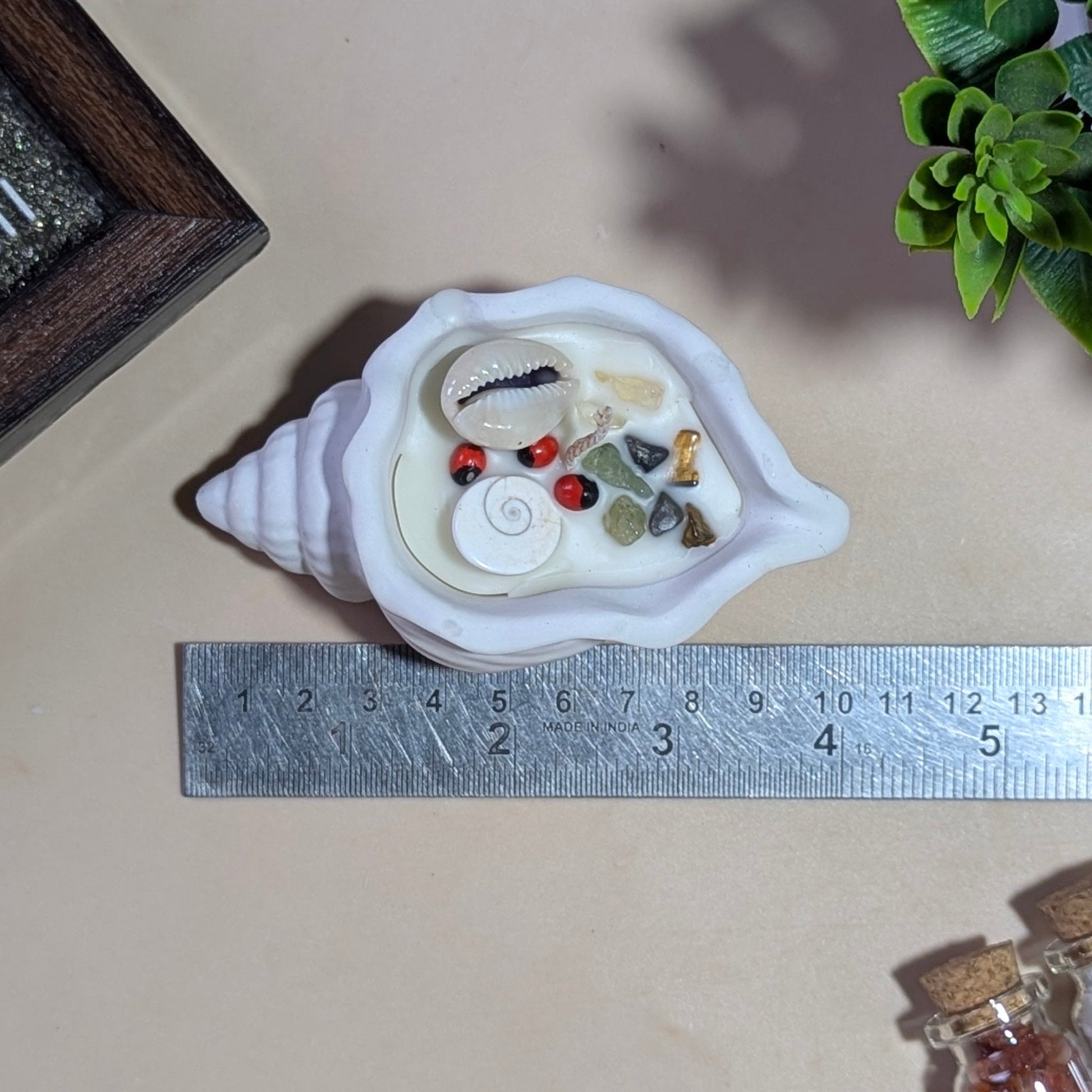 Shell Candle-Maitri Export | Crystals Store