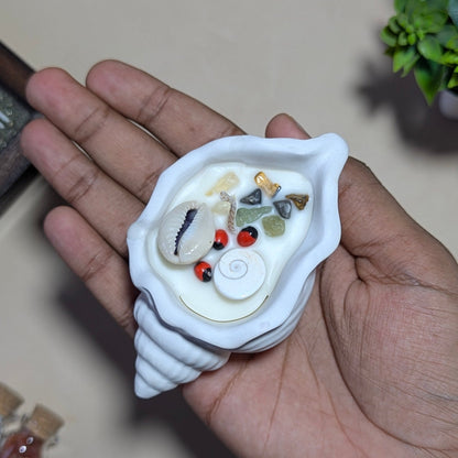 Shell Candle-Maitri Export | Crystals Store