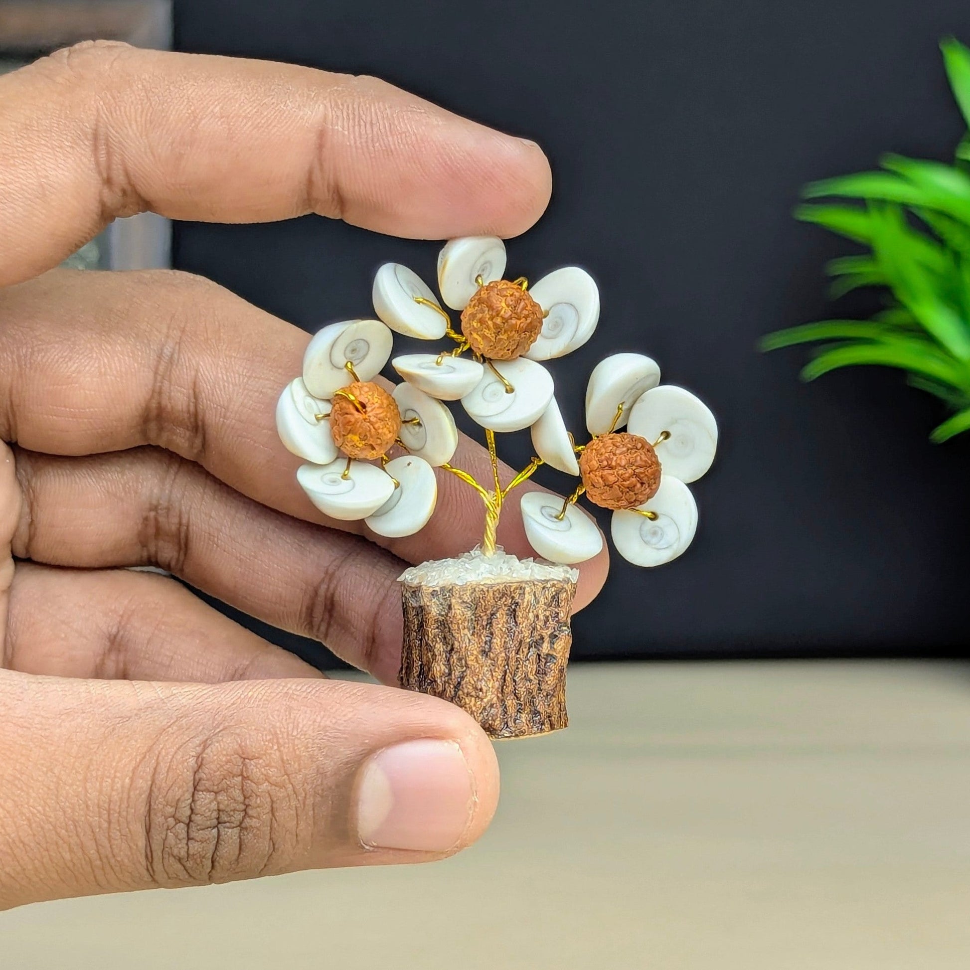 Gomtichakra Rudhraksh 18 beads tree-Maitri Export | Crystals Store