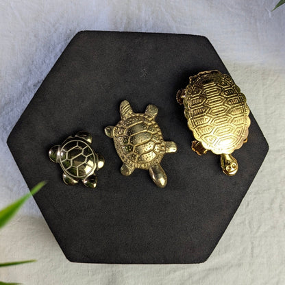 Turtle-Maitri Export | Crystals Store
