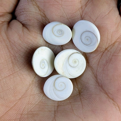 Gomtichakra Star Polish Small Size (8 to 10mm)-5 pcs-Maitri Export | Crystals Store