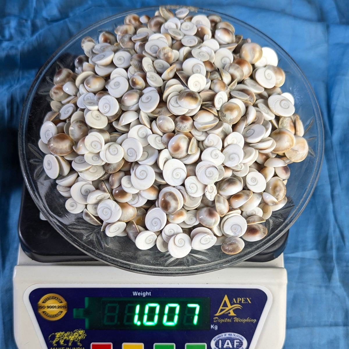 Gomtichakra Star Polish Small Size (8 to 10mm)-1 kg-Maitri Export | Crystals Store