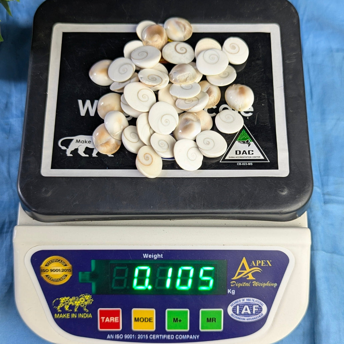 Gomtichakra Star Polish Small Size (14 to 16mm)-100 gm-Maitri Export | Crystals Store