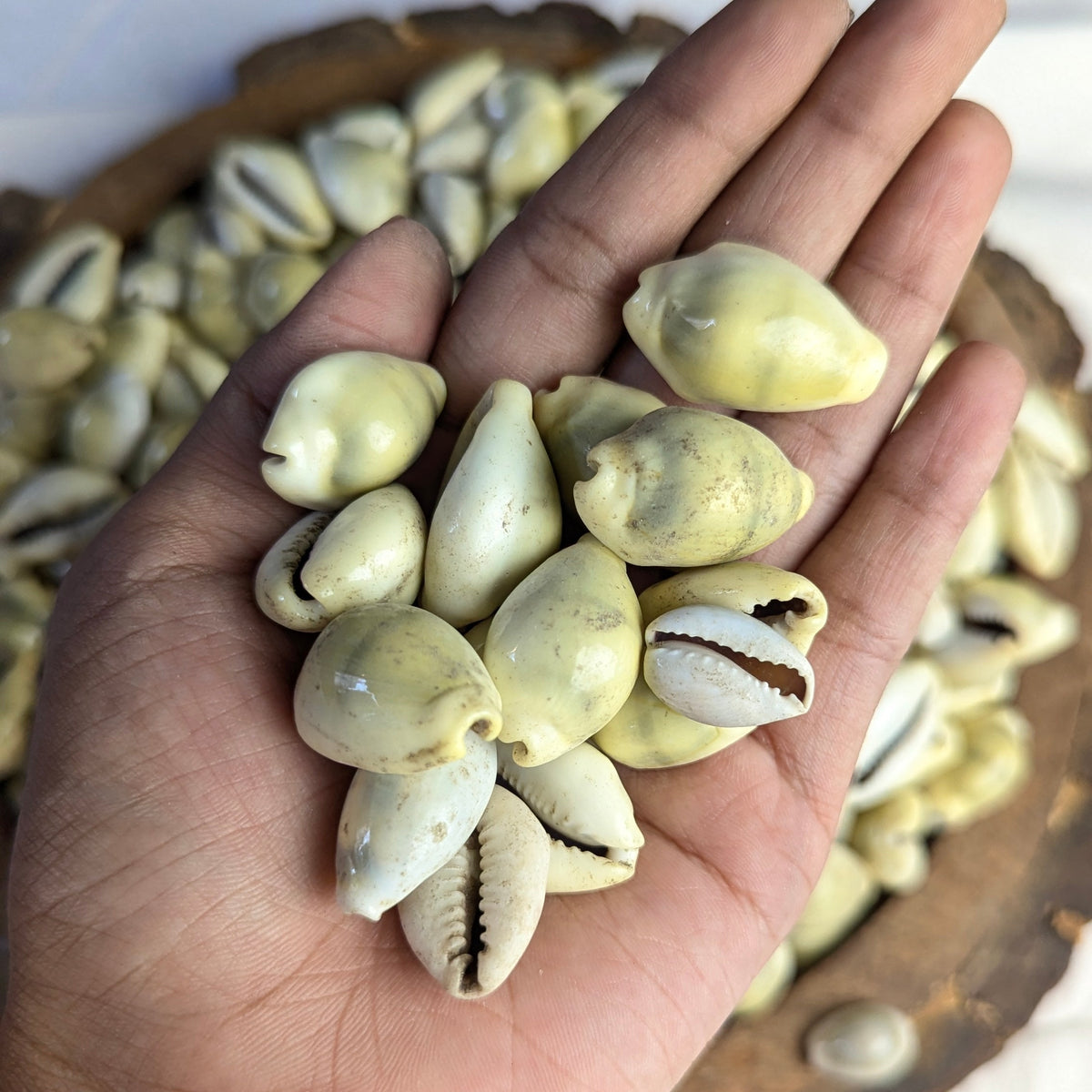 Yellow Kodi-Maitri Export | Crystals Store