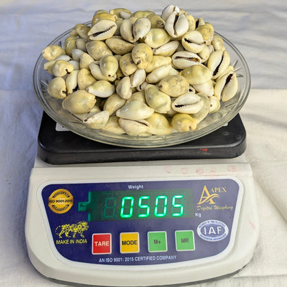 Yellow Kodi-500 gm-Maitri Export | Crystals Store