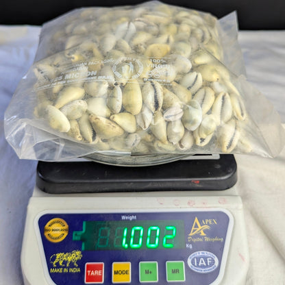 Yellow Kodi-1 kg-Maitri Export | Crystals Store