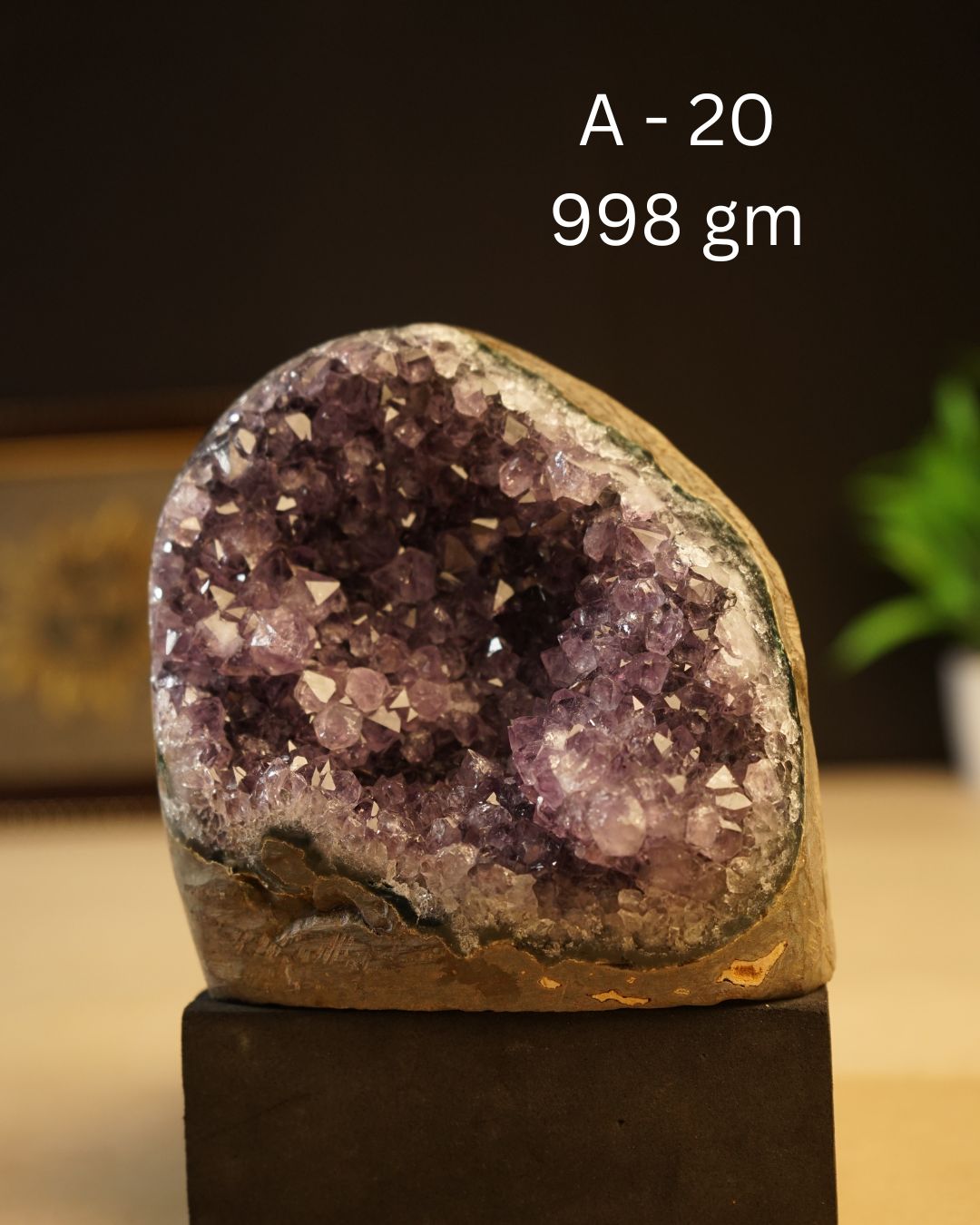 Amethyst Geode-20 - 998 gm-Maitri Export | Crystals Store