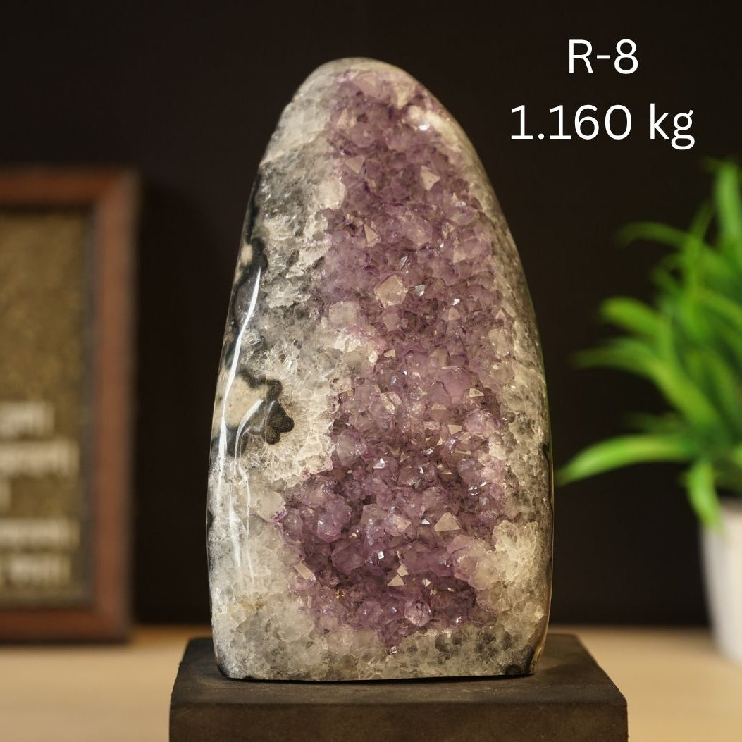 Amethyst Geode ( Regular )-8 - 1.160 kg-Maitri Export | Crystals Store
