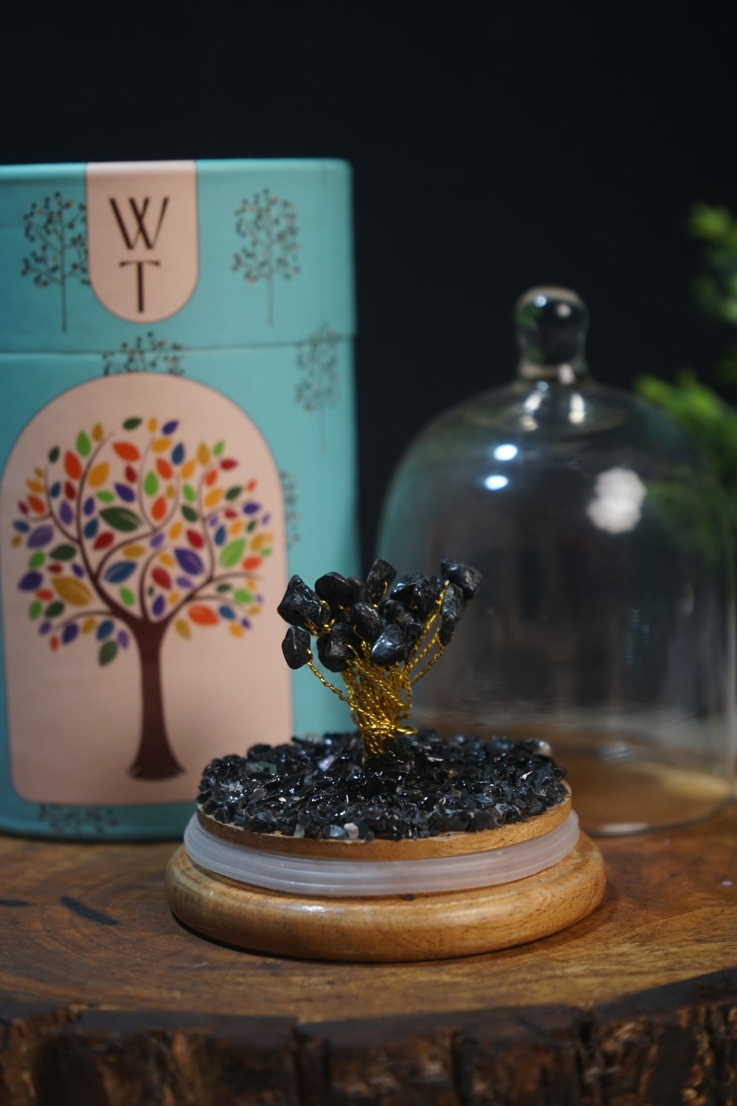 Wish tree / dome healing crystal tree-Black Tourmaline-Maitri Export | Crystals Store