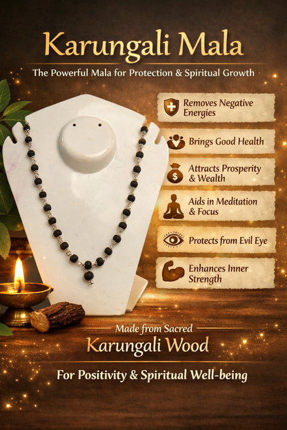 Natural karungali/ebony 6mm beads metal cap mala 54beads-Maitri Export | Crystals Store