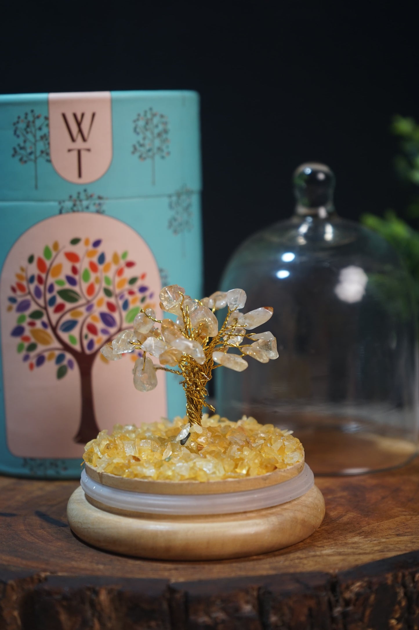 Wish tree / dome healing crystal tree-Citrine-Maitri Export | Crystals Store