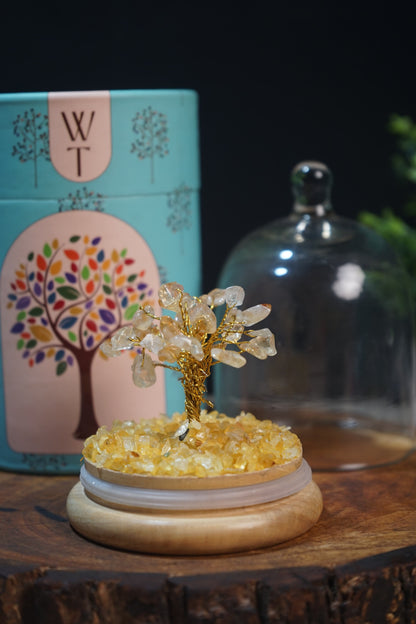 Wish tree / dome healing crystal tree-Citrine-Maitri Export | Crystals Store